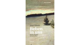 Buchcover: "Beben in uns" von Jakub Małecki
