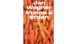 Buchcover: "Steine und Erden" von Jan Wagner