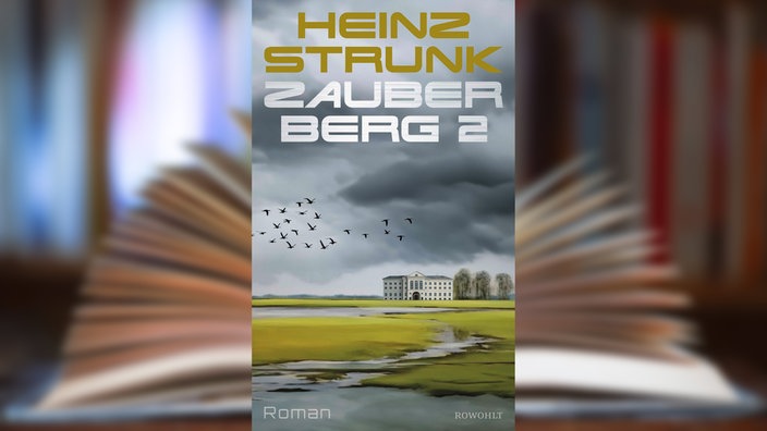 Buchcover: "Zauberberg 2" von Heinz Strunk