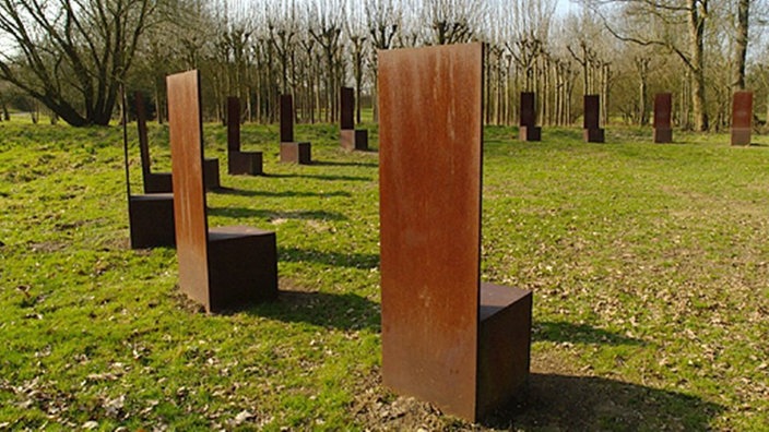 Viele Stühle sind auf einer Wiese in einem großen Kreis aufgestellt 