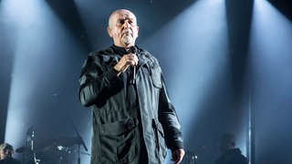 Peter Gabriel live 2014