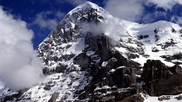 Blick zur Eiger Nordwand im Berner Oberland