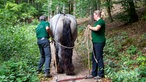 Manuela Zimmermann mit Mann Hubert und einem Pferd. 