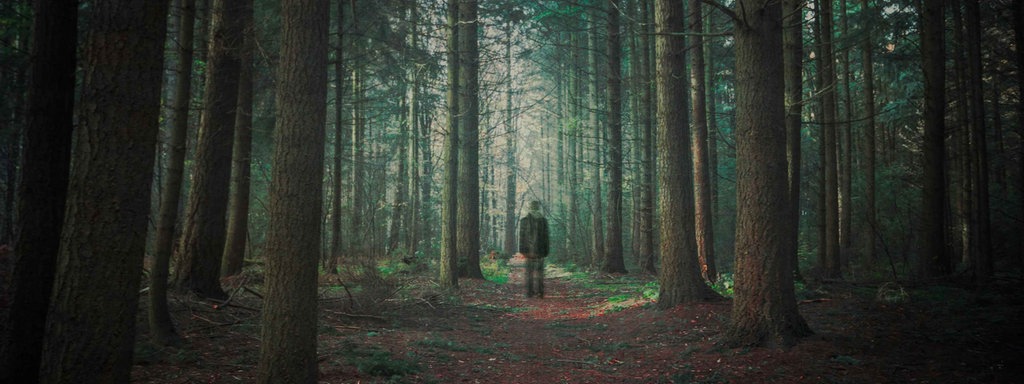 Eine Person läuft alleine durch einen dunklen Wald.