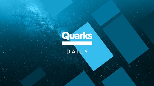 Quarks Daily Schriftzug