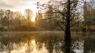 Auf einen Waldsee fällt die untergehende Sonne.