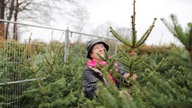 Frau kauft Weihnachtsbaum