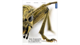 Buchcover "Von Angesicht zu Angesicht - Auf Augenhöhe mit heimschen Insekten" mit der Nahaufnahme eines Insekts.