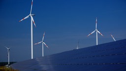 Solaranlagen stehen auf einem Feld, dahinter sind Windräder zu sehen