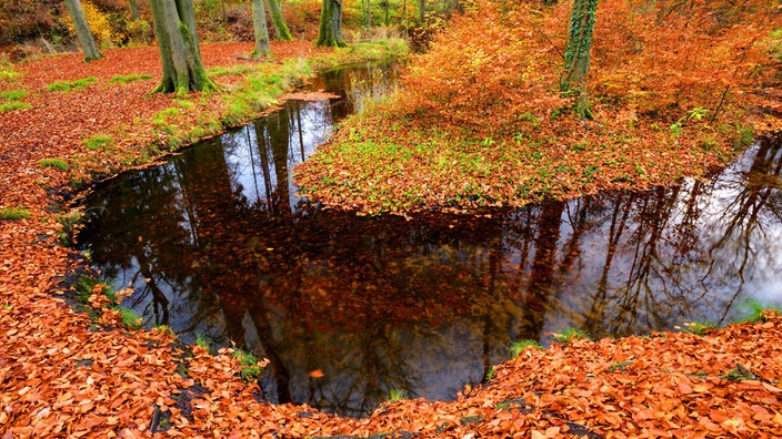 Rotbach in Bottrop