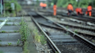 Gleise am Wuppertaler Hauptbahnhof