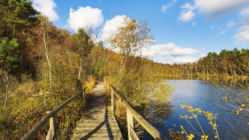 ein Bohlenweg durchs Moor im Herbst mit Blick auf einen kleinen See