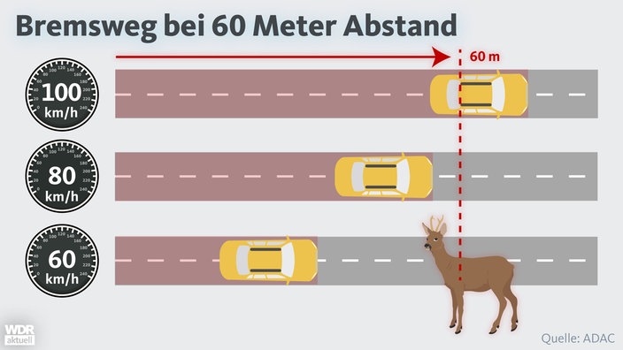 Bremsweg im Auto bei 60 Meter Anstand