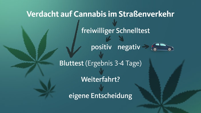 Verdacht auf Cannabis im Straßenverkehr