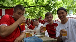 Fans aus Dänemark in Dortmund vor EM-Spiel