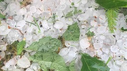 Starker Hagel in Detmold: Es erinnert an Eiswürfel