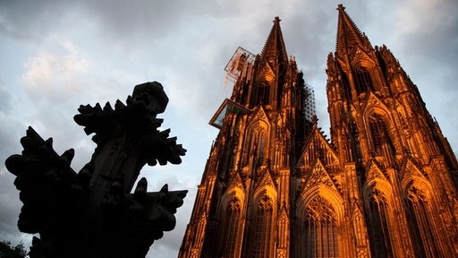 Der Kölner Dom im Sonnenuntergang. Im Vordergrund ist die Kreuzblume zu sehen. 