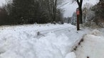 Wintereinbruch in der Eifel, Ein Weg und umherstehende Bäume sind von Schnee bedeckt