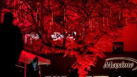 Rot beleuchteter "Baum der Wünsche" von Richard Röhrhofft beim Essen Light Festival