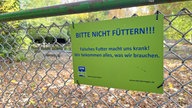 An einem Tiergehege befindet sich der Hinweis, dass das Füttern der Tiere unerwünscht ist, da es bei falschem Futter gefährlich werden kann.