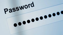 Passwortabfrage im Internet, ausgeblendetes eingegebenes Passwort