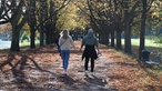 Ein Pärchen macht einen Herbstspaziergang durch den Kölner Grüngürtel.