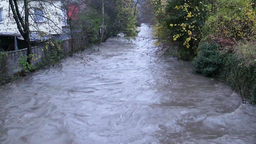 Wasser im Deilbach.