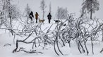 Neuschnee in Höhenlagen - Kahler Asten