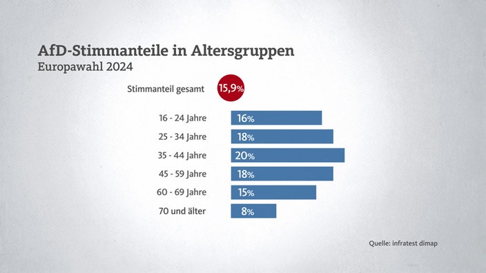 Wer wählte bei der Europawahl 2024 AfD?