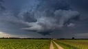 Unwetter-Gefahr: dunkle Wolken über einem Feld