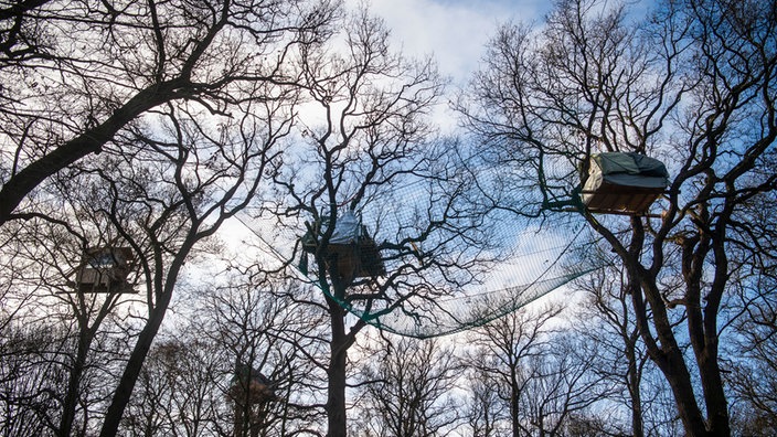 Aktivisten haben im Hambacher Forst Baumhäuser gebaut