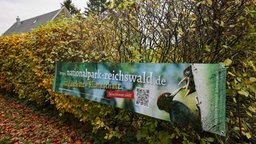 Ein Plakat an einer Hecke am Reichswald bei Kleve wirbt für den Bürgerentscheid