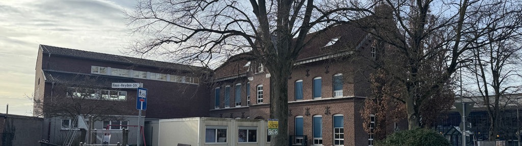 Alte Linde vor der Grundschule in Herzogenrath-Pannesheide