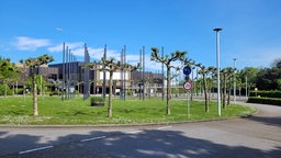 Straße und Wiese mit vielen Fahnenstangen darauf, im Hintergrund ein Eingangsgebäude