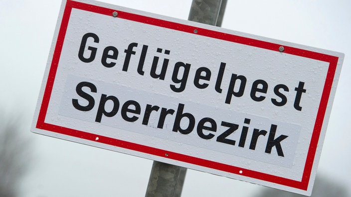 Ein Schild mit der Aufschrift "Geflügelpest Sperrbezirk"