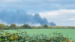 Eine große Rauchwolke über einem Feld, im Vordergrund sind Büsche zu sehen