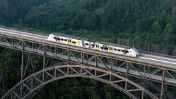 Weißer Zug auf Stahlbrücke mit Wald im Hintergrund