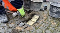 Stolpersteine für ganze Familie