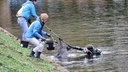 Taucher und Menschen am Ufer