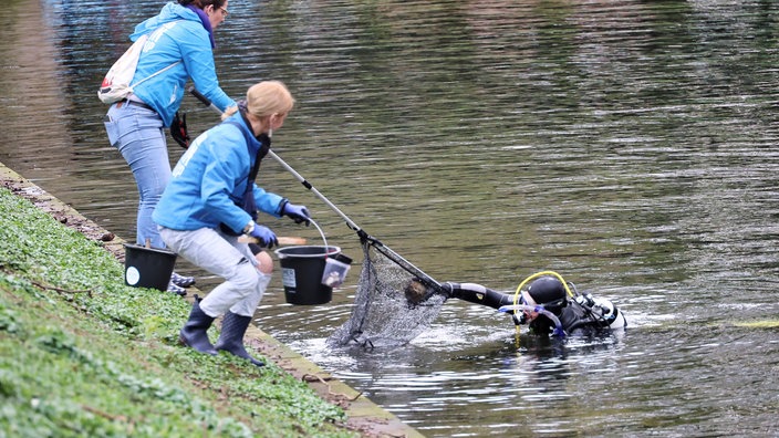 Taucher und Menschen am Ufer