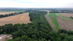 Luftaufnahmen Ackerflächen und Waldflächen