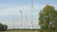 Sechs Windräder auf einer Anhöhe mit Bäumen und einer im Vergleich winzig kleinen Holzbank