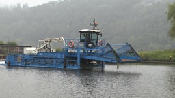 Mähboot der Stadt mit abgeschnittener Elodea