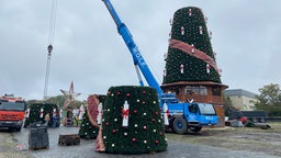 Der Weihnachtsbaum steht in Teilen auf dem Kirmesplatz