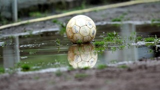 Ball in Pfütze