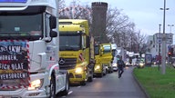 Lkw stehen hintereinander in Köln und blockieren eine Straße.