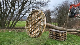 Ein Storchennest wird in den Bochumer Ruhrauen aufgebaut