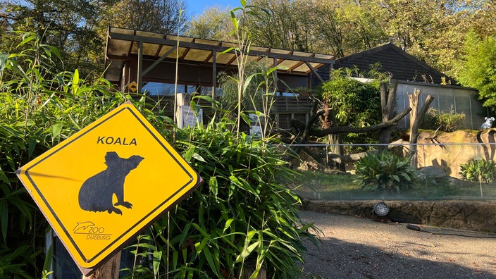 Koala-Gehege im Zoo Duisburg