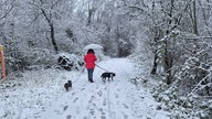 Eine Frau spaziert mit zwei Hunden durch den Schnee