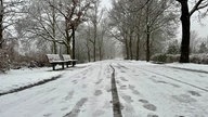 Eine verschneite Allee in Bielefeld